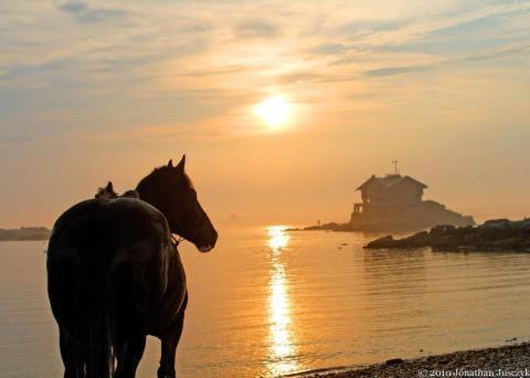 Atlantic Haven Bed & Breakfast Sligo Exterior foto